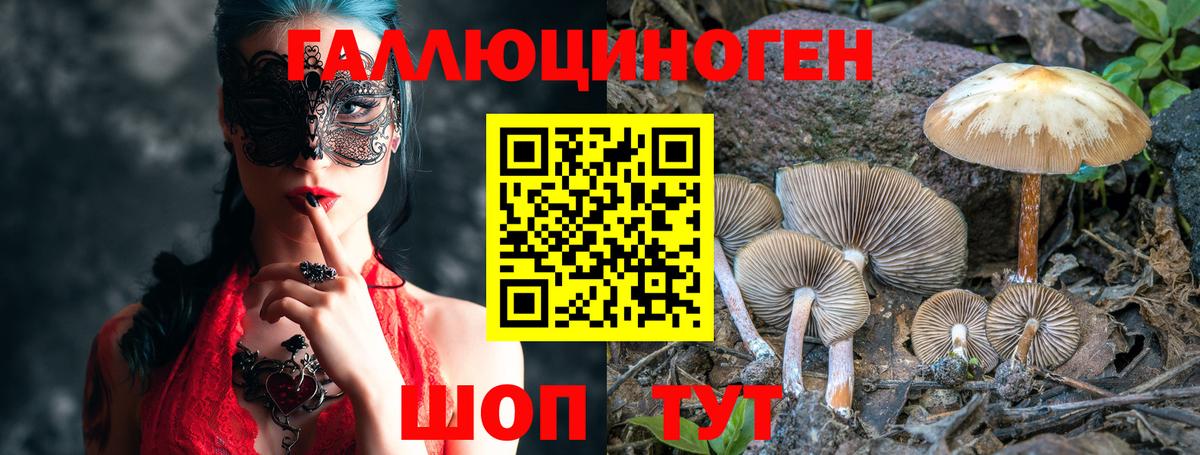 Псилоцибиновые грибы Psilocybe  Вход с VPN  Армавир 