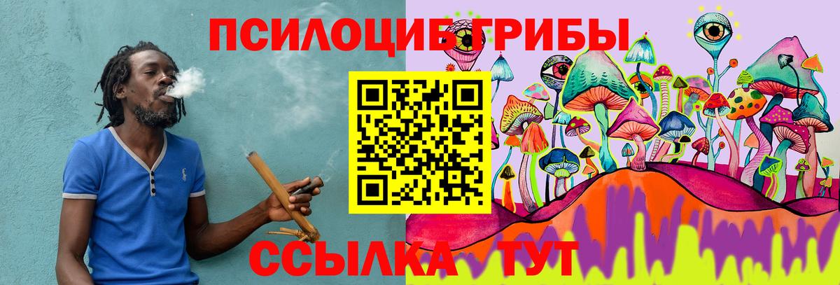 Галлюциногенные грибы Cubensis Армавир